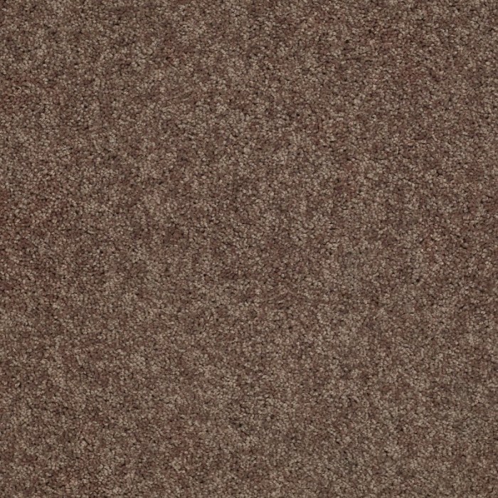 Carpet Dark