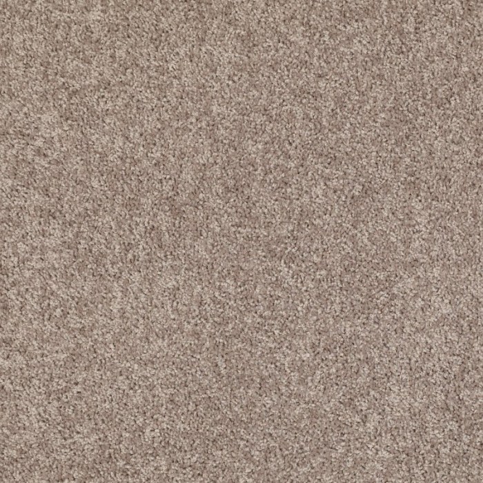 Carpet Medium